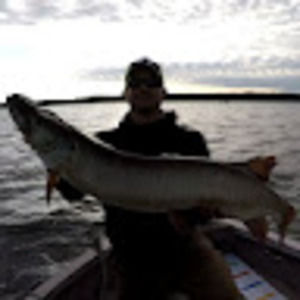 Meet your Posher, Jake